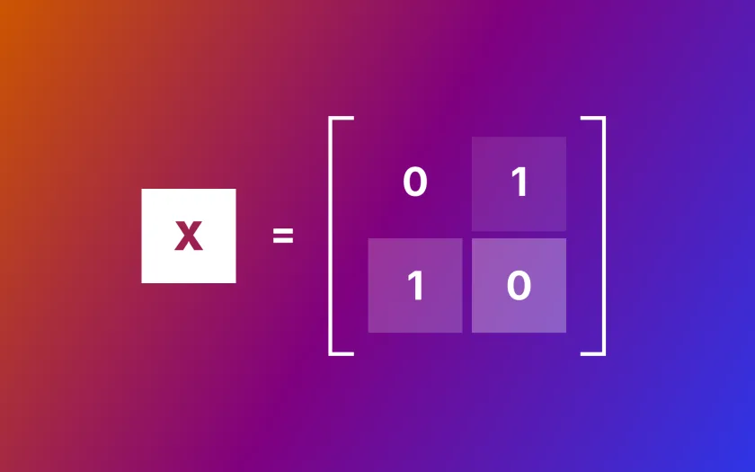 Quantum logic gates